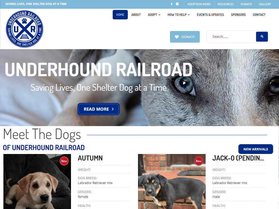 Underhound Railroad
